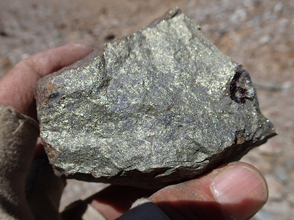 Photo of sample KM-6. This photograph is of a selected sample and may not be representative of mineralization hosted on the property.